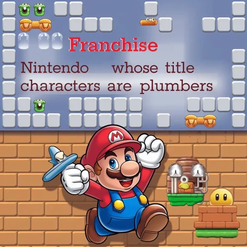 nintendo franchise whose title characters are plumbers crossword clue