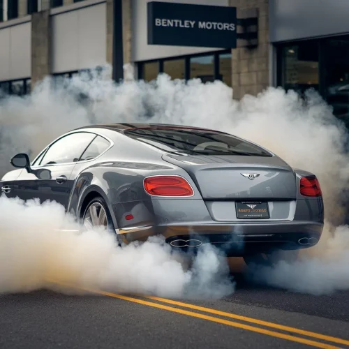 fault codes:01575 control switch off. bentley continental gt 2012